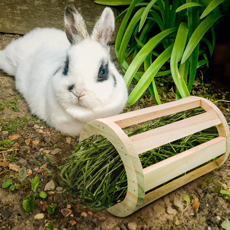 suruikei Rabbit Hay Feeder Rack Wooden Cylindrical Food Manger Grass Holder Hay Food Bin Feeder for Small Animals, Bunny Feeder, Guinea Pig Food Bowl, Chinchilla Hay Bin 1+3 - PawsPlanet Australia