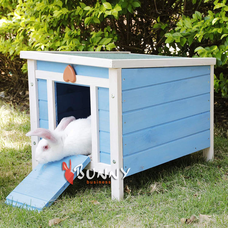 BUNNY BUSINESS Cat/Puppy/Rabbit/Guinea Pig Wooden Hide House, 51 x 44 x 42cm, Blue - PawsPlanet Australia