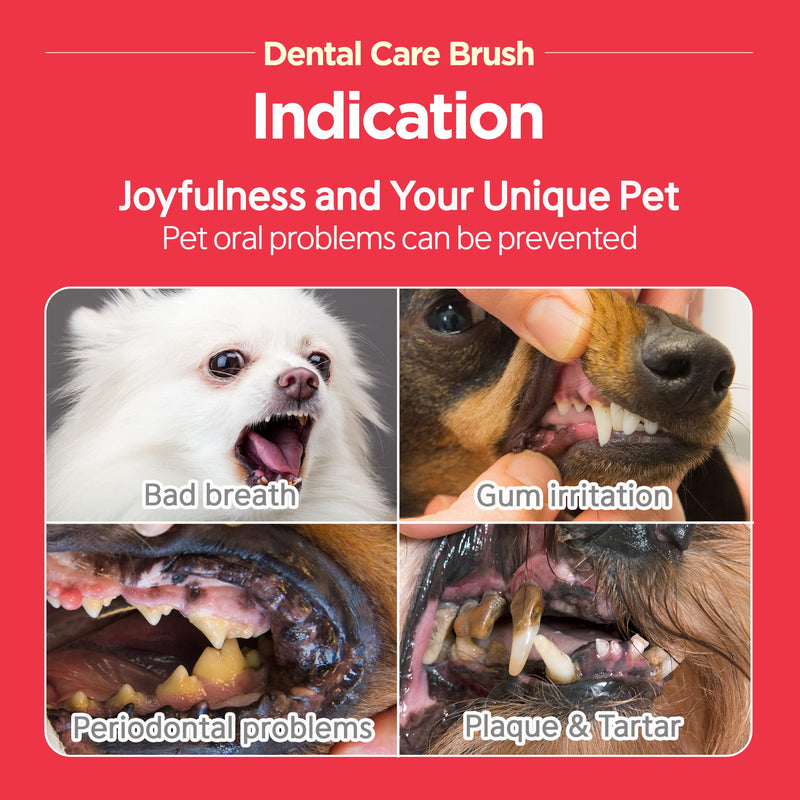 JAYU PET Dental Care Brush - Dog Cat Toothbrush | Dog Plaque, Tartar Control Toothbrush | Removing Bad Breath | Cat Teeth Brushing & Easy Cleaning | Pet Dental Hygiene with Soft Bristles (1) 1 - PawsPlanet Australia