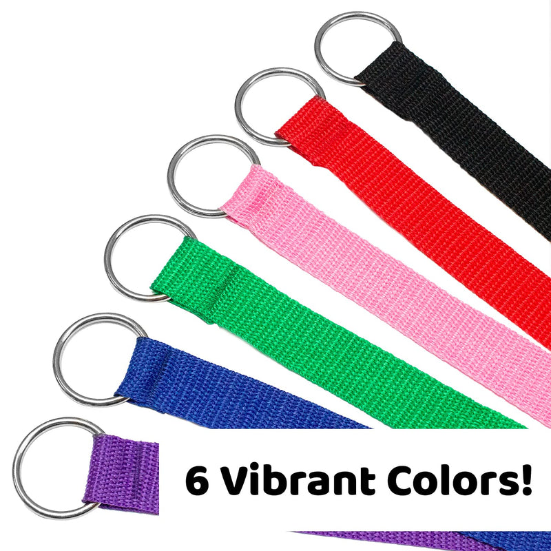 Downtown Pet Supply - 6ft Dog Kennel Slip Lead Dog Leash - Veterinarian, Dog Grooming, Daycare & Animal Rescue Dog Supplies - One Size Leads for Dogs Bulk - 1" Thick 6 Pack - PawsPlanet Australia