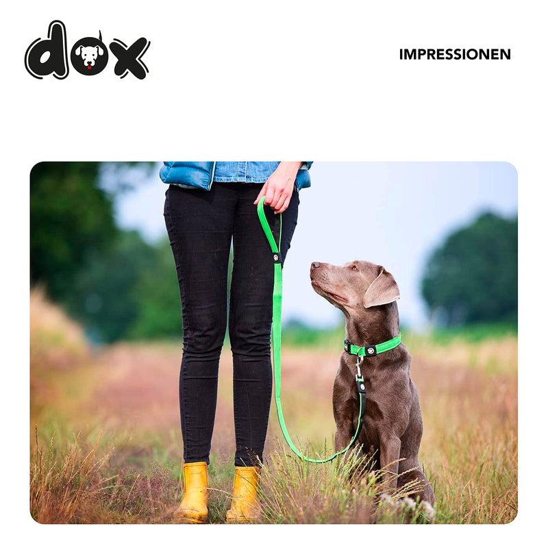 DDOXX dog leash air mesh 120 cm | Hand strap | for small & large dogs | many colors & sizes | Leash dog | Lead leash small | Running leash puppy leash large | Green, XS XS - 1.5 x 120 cm - PawsPlanet Australia