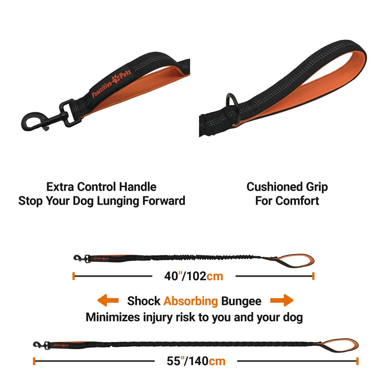 Pawzitive Petz Bungee Dog Lead, No Pull Dog Lead, Anti Pull Dog Lead, Leads to Stop Dogs Pulling, Dog Bungee Lead, No Pull Lead, Dog Leashes, Shock Absorber Dog Lead, Dog Lead to Stop Pulling 40"/102cm Orange - PawsPlanet Australia