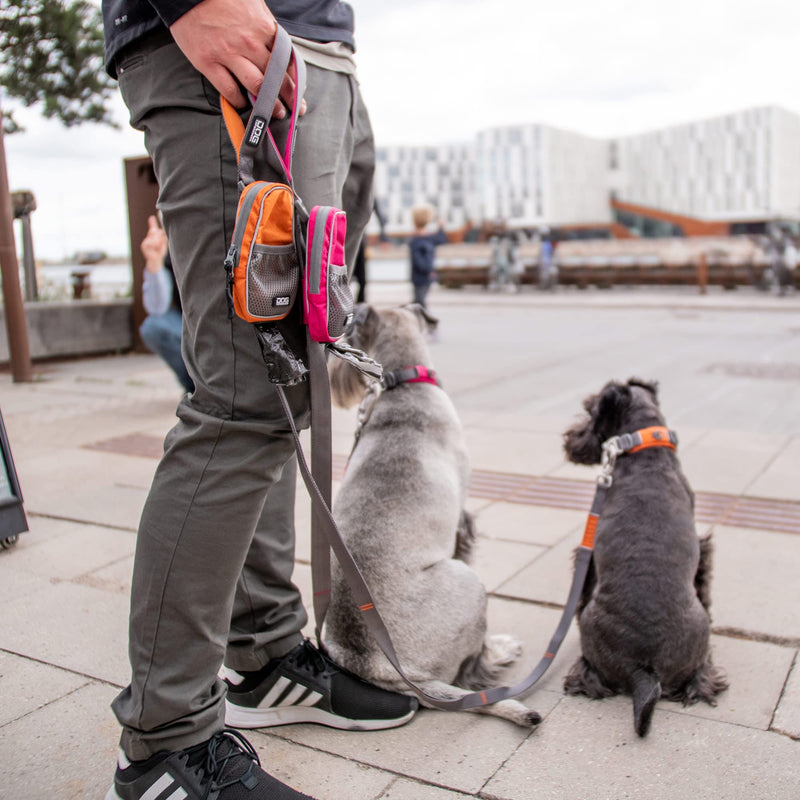 DOG Copenhagen Dog Leash V2 Urban Trail Leash Orange Sun Size L Orange Sun | Orange (2020 version) - PawsPlanet Australia