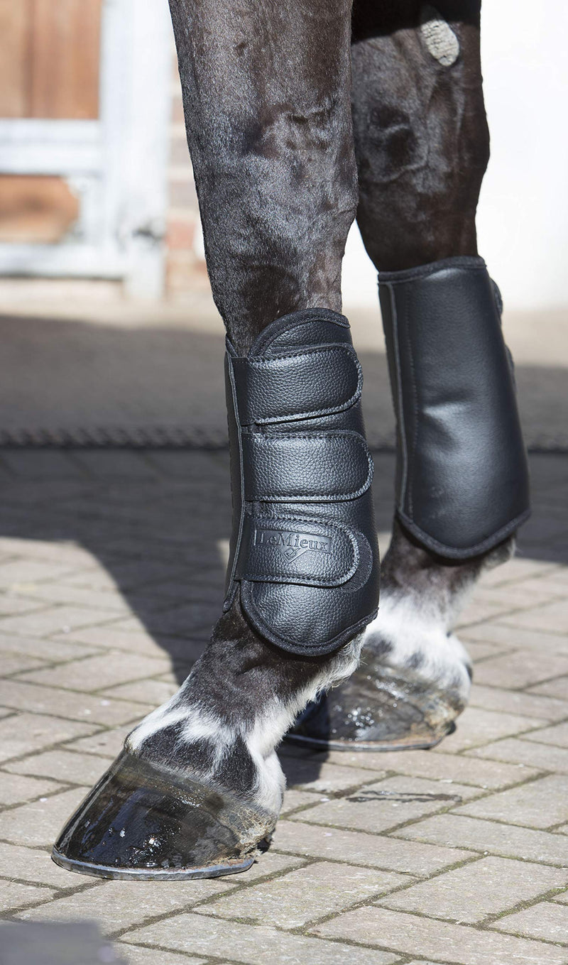 LeMieux Schooling Horse Boots Pair with TPU Strike Proof Shell and Shock Absorbent Lining - Equestrian Protective Footwear M Black - PawsPlanet Australia