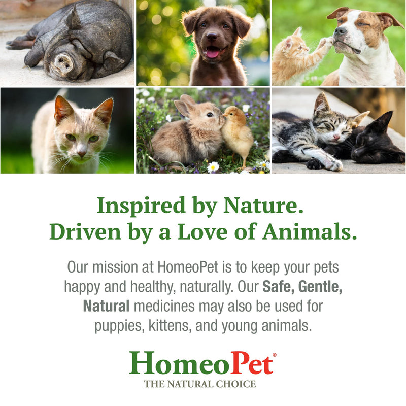 HomeoPet WRM CLEAR - 100% Natural Pet Medicine. For tapeworm, whipworm, roundworm, and hookworm. Non-chemical wormer. For pets of all ages. 15ml/up to 90 doses per bottle - PawsPlanet Australia
