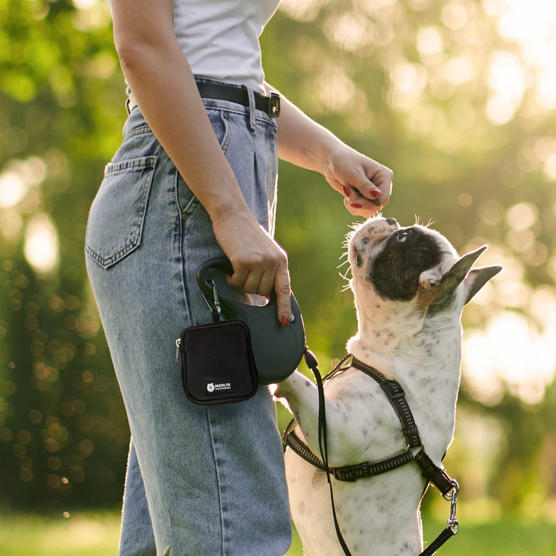 Merlin Pet Products Small Dog Treat Bag, Training Pouch Pocket Size Travel Walking Walk Treats Pouch, Bag For Lead Treats, (Black) Black - PawsPlanet Australia