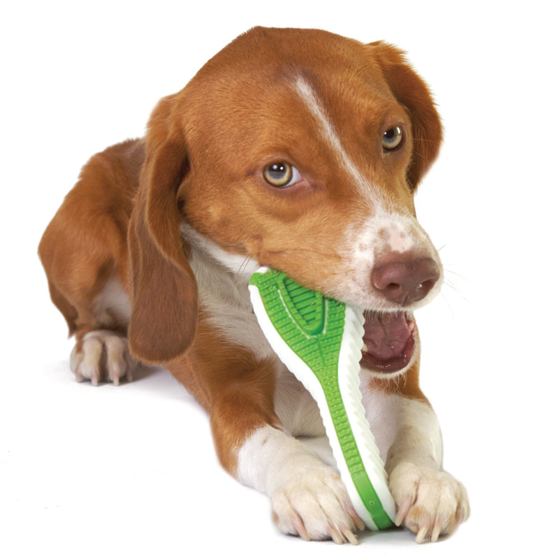 Petstages Finity Dental Chew Dog Toy, Small S - PawsPlanet Australia