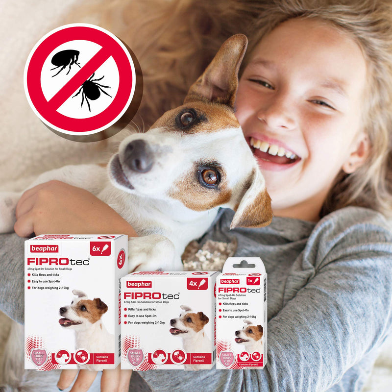 Beaphar Fiprotec Spot-On for Small Dog, 4 Pipette - PawsPlanet Australia