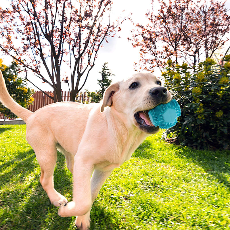 Dog Chewing Toy Set for Aggressive Chewers ,2 Pack Milk Flavor Teething Toys for Medium Large Breed,100% Natural Rubber Toys Fun to Teething and Fetch,Blue 2 pcs - PawsPlanet Australia