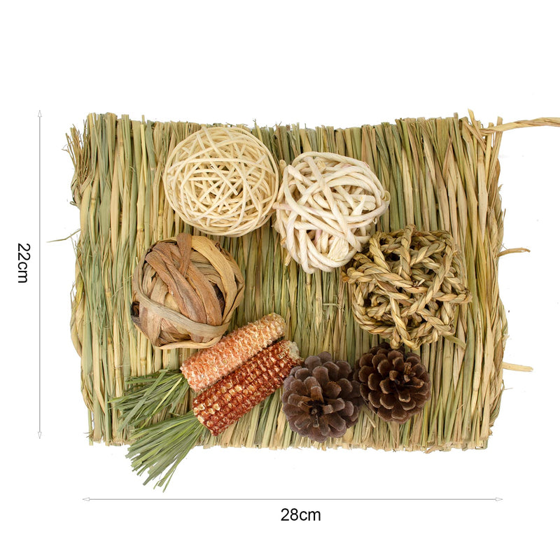 LLGLEU 2 Pcs Grass Mat for Rabbit with 4 Play Balls Pine Cone Carrot Bunny Chew Toy Natural Woven Bed Mat Molar Teeth Set for Guinea Pig Chinchilla Squirrel Hamster and Small Animal (Typ1) Typ1 - PawsPlanet Australia