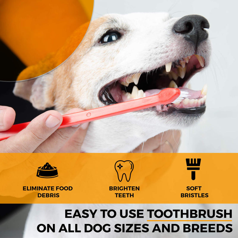 The Ultimate Dog Toothbrush Kit, 12-Pack, Pet Cat Toothbrush, Small Dog Cat Finger Toothbrush, Large Breed Care Tooth Brush, Complete Dental Kit for Pets, Pet Dental Schedule Included - PawsPlanet Australia