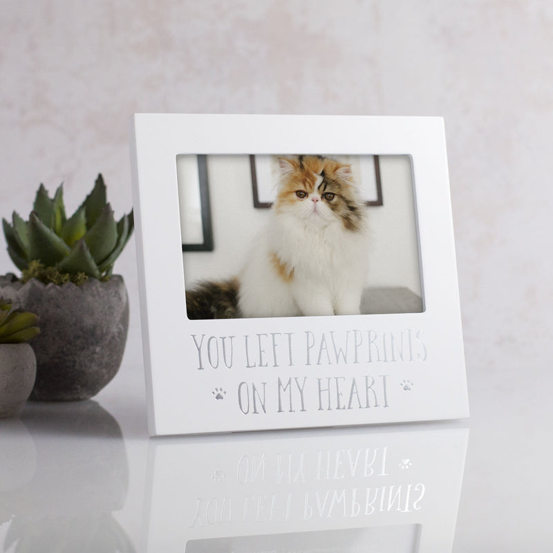 [Australia] - Pearhead Pet Memorial Sentiment Frame, Pet Memory Picture Frame, Dog or Cat Tribute Keepsake You Left Pawprints On My Heart, White 