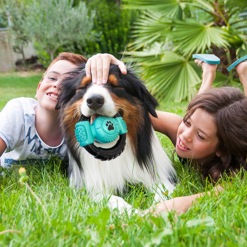 Dog Toys for Aggressive Chewers, Squeaky Tough Dog Chew Toys for Large Medium Small Dogs, Indestructible Durable Nylon and Natural Rubber Dog Teething Toy with Milk Flavor - PawsPlanet Australia