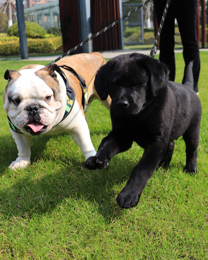 Taglory Double Dog Leash, Reflective Dual Dog Leash, 360 Swivel No Tangle Walking Double Leash for Puppy Small Dogs 30 Inch (Pack of 1) Black - PawsPlanet Australia