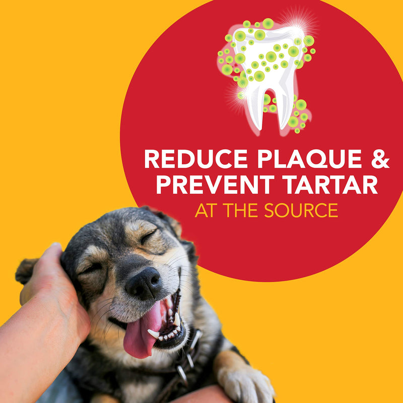 Petrodex Advanced Dental Care Enzymatic Dog Toothpaste, 6.2oz. - PawsPlanet Australia