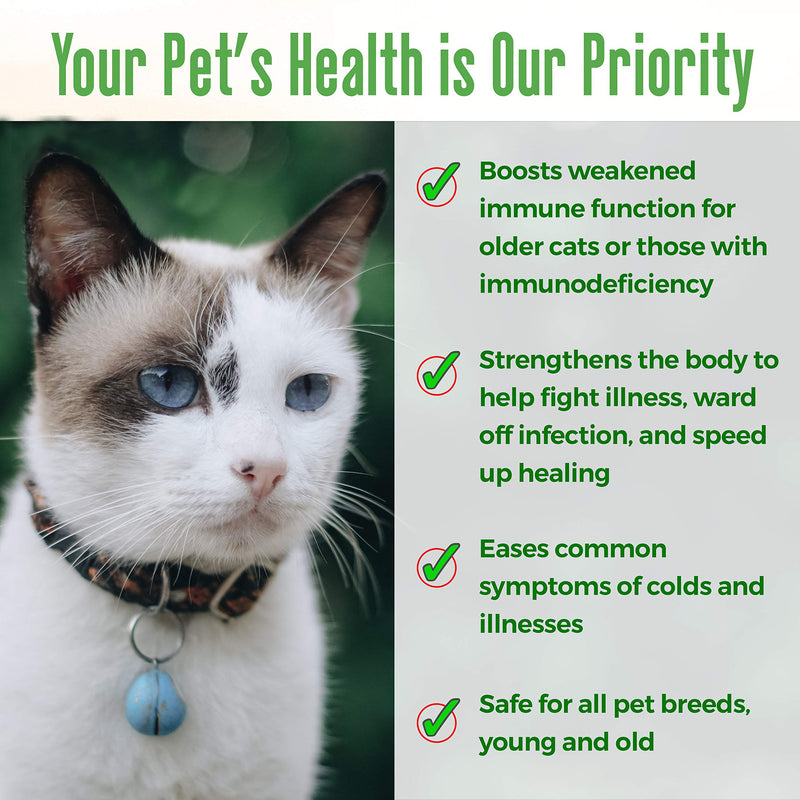 BestLife4Pets Immunity Boost for Cats Supplement – Helps Your Feline's Respiratory and Digestive System Fight Off Colds and Infections – All Natural, No Fuss Remedy (450 Pills) - PawsPlanet Australia