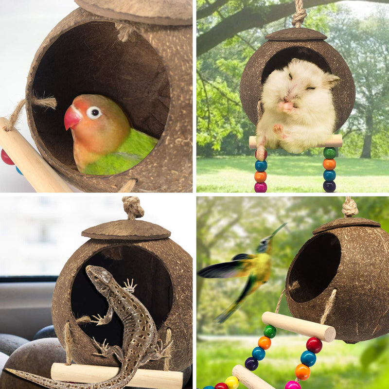 Hanging Coconut Bird House with Ladder,Natural Coconut Fiber Shell Bird Nest for Parrot Parakeet Lovebird Finch Canary,Coconut Hide Bird Swing Toys for Hamster,Bird Cage Accessories,Pet Bird Supplies - PawsPlanet Australia