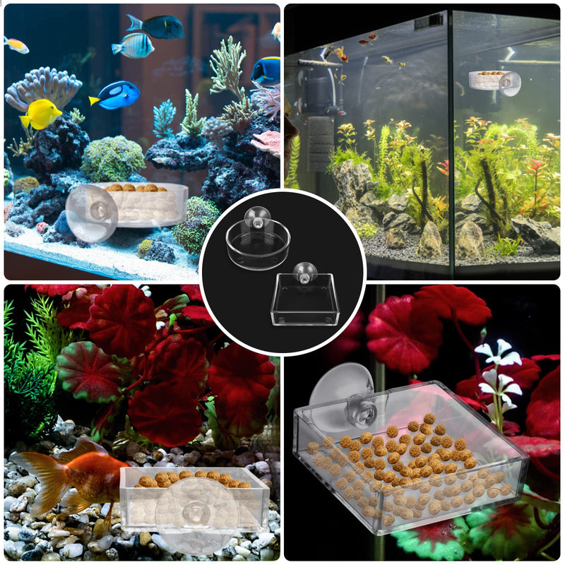 cobee Aquarium Feeding Bowl, 2 Pieces Fish Shrimp Feeding Dish Acrylic Clear Shrimp Feeding Tray Tank Feeding Bowls with Suction Food Water Bowl for Reptiles Shrimp Tropical Fish - PawsPlanet Australia