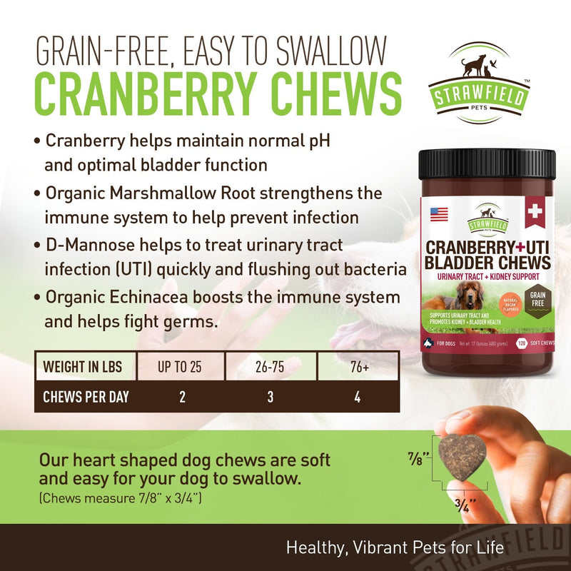 Cranberry Supplement for Dogs -120 Grain Free Dog Treats - Cranberry Chews for Urinary Tract Infection Treatment UTI Relief Bladder Control Support UT Incontinence - D-Mannose, Organic Echinacea, USA - PawsPlanet Australia