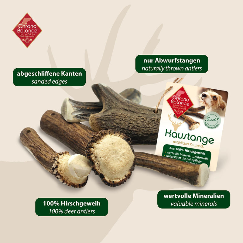 ChronoBalance® Antler Chew Stick for Dogs: M Chew Toy Dental Care Chew Stick Made of 100% Deer Antler: Dog Toy Chew Root Treat Chew Wood Dental Hygiene Chew Bone Set: Naturally Safe Robust M (Pack of 1) - PawsPlanet Australia