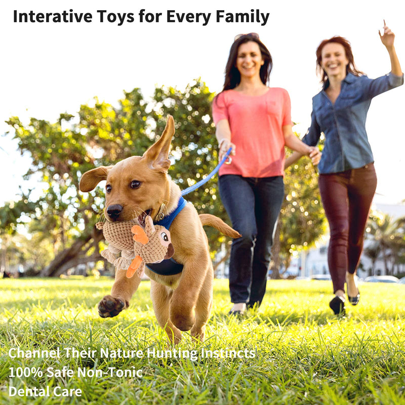 ZVV Plush Dog Toys, Sturdy Squeak Toys, Interactive Stuffed Dog Chew Toys Suitable for Small, Medium and Large Dogs Deer - PawsPlanet Australia