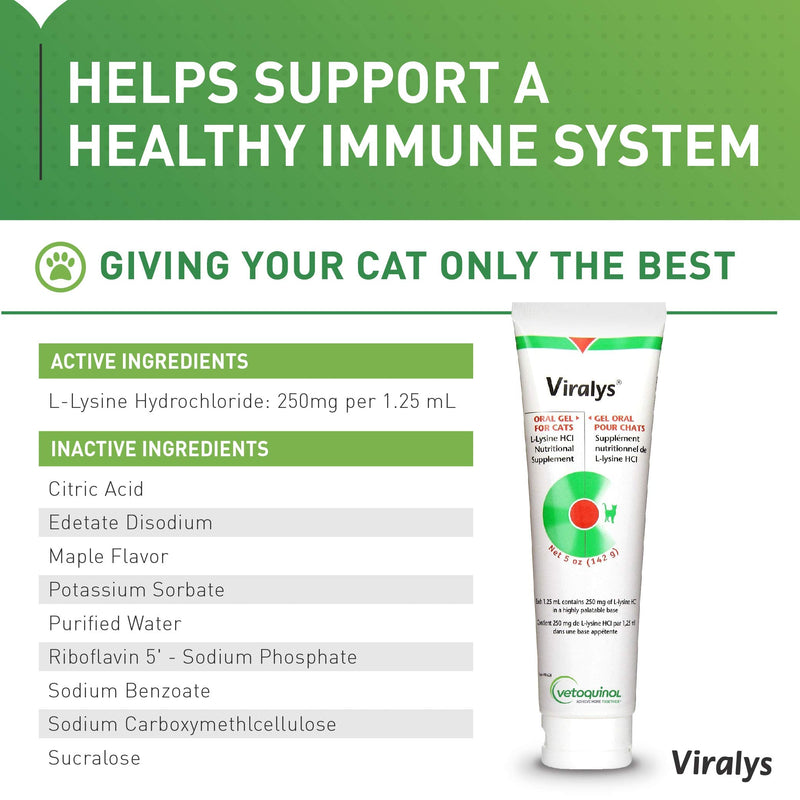 Vetoquinol Viralys Gel L-Lysine Supplement for Cats, 5oz - Cats & Kittens of All Ages - Immune Health - Sneezing, Runny Nose, Squinting, Watery Eyes - Palatable Maple Flavor Lysine Gel 5 Ounce (Pack of 2) - PawsPlanet Australia