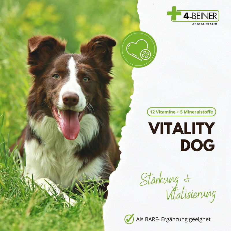 4-BEINER Vitality-Dog, 12 multi vitamins for dogs, vitamin B complex, vitamin A, C, E, D, folic acid, biotin, minerals zinc, iron, manganese, 100 tablets - PawsPlanet Australia