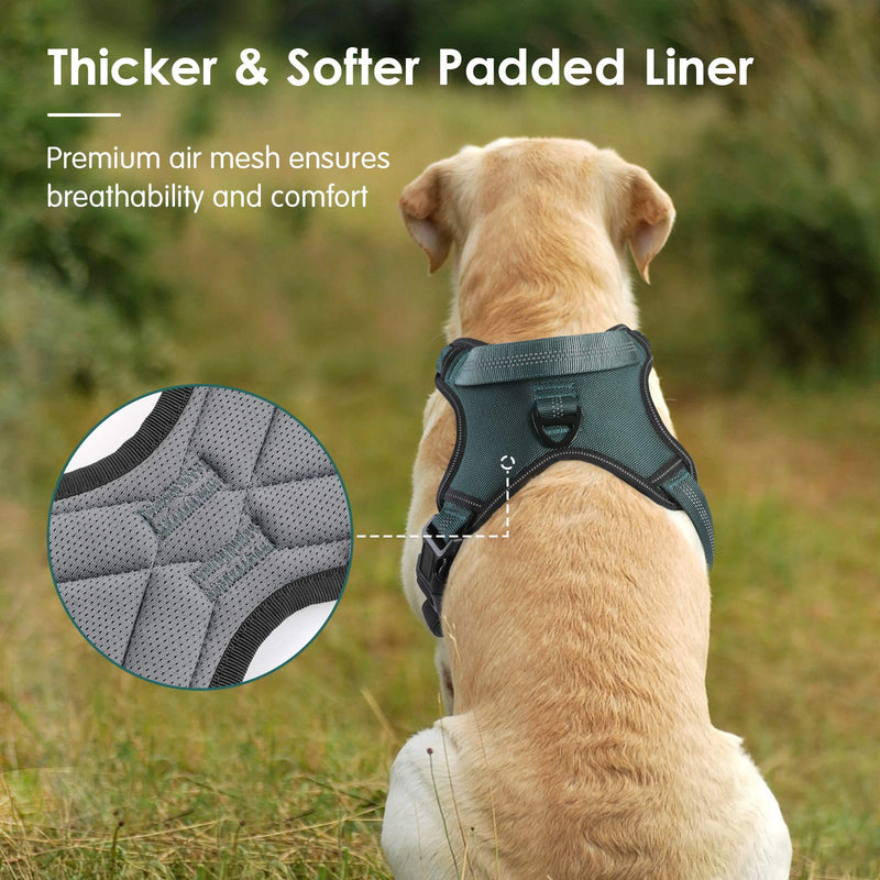 [Australia] - rabbitgoo Dog Harness, Dog Halter Harness with Soft Padded Straps & Shock-Absorbing Bungee Straps, Adjustable Dog Vest Harness with Padded Handle, Reflective Dog Walking Harness for Large, Medium Dogs 