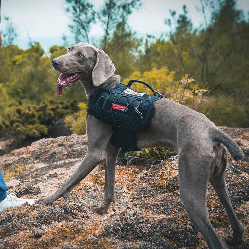 [Australia] - OneTigris Backpack for Dogs to Wear Pet Back Pack with Padded Handle and Leash Attachment Point for Dog with 18"-23.5" Neck Girth and 25"-30.5" Chest Black Medium 