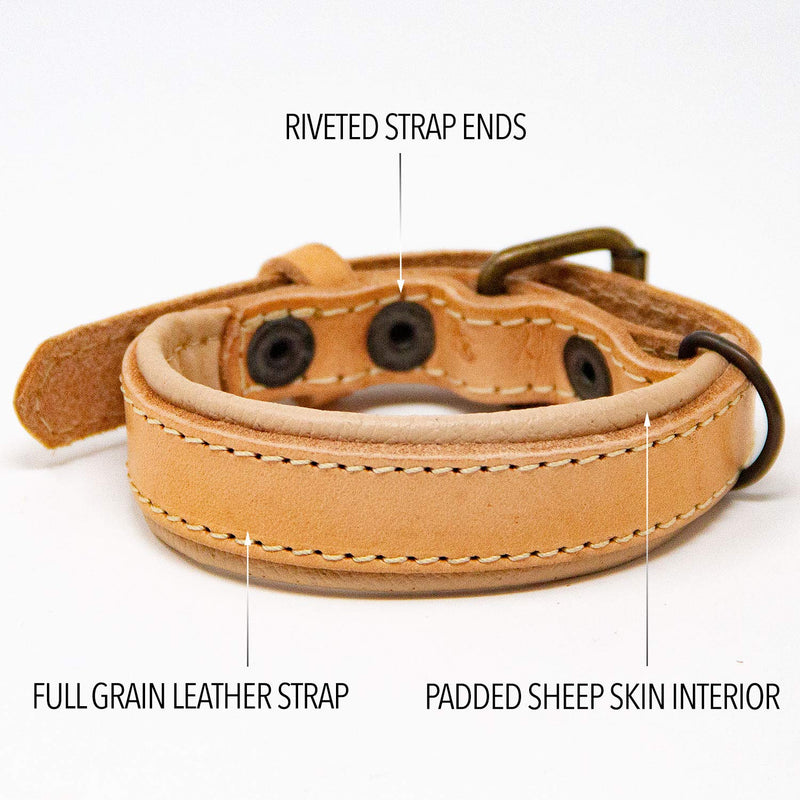 Logical Leather Leather Padded Dog Collar | 100% Genuine Full Grain Leather Dog Collar With Riveted Strap Ends & Premium Hardware | Beige | Extra Small XS - PawsPlanet Australia