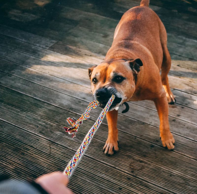 Flirt Pole Dogs,Interactive Dog Toys Dog Toy Stick,Dog Chew Toy Rope for Chewing &Training Small Medium Large Dogs Pulling, Chasing, Chewing, Training, Exercising,ROPE-67in - PawsPlanet Australia