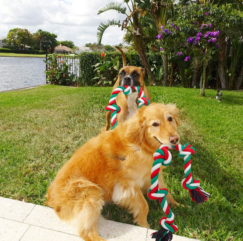 NEOROD Dog Rope Toys for Aggressive Chewers Tough Cotton Rope Interactive Chew Toys for Medium Large Breed Dogs Tug of War 3 Feet 5 Knots Indestructible Durable Giant Rope Toy Green-XL - PawsPlanet Australia