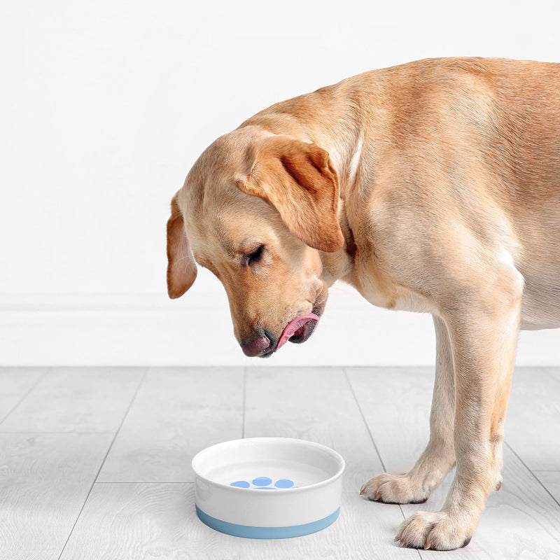 Navaris Porcelain Cat Bowls (Set of 2) - 15cm Food and Water Bowl Dishes for Pet Cats and More - With Non-Slip Silicone Bottom - Blue Paw Design - PawsPlanet Australia