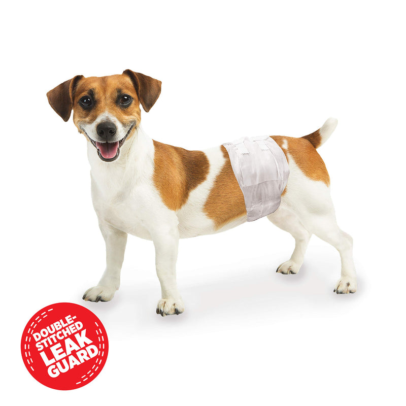 [Australia] - Four Paws Disposable Male Dog Wrap X-Small/Small Not Applicable 