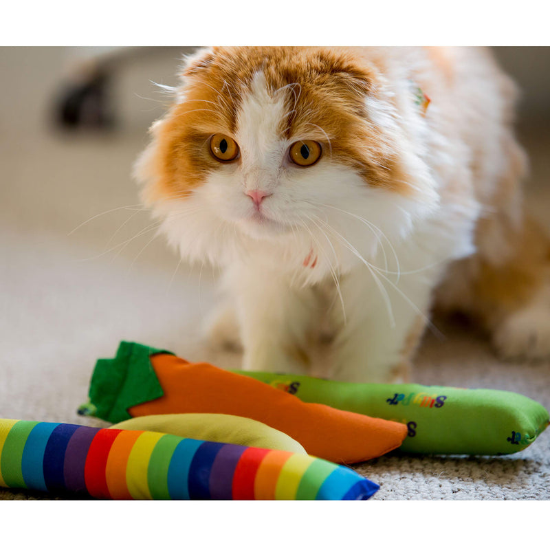 [Australia] - Youngever 4 Pack Cat Kicker Toys, Kitty Kick Stick, Catnip Cat Toys, Cat Kick Toy, Interactive Cat Toys for Cat, Puppy, Kitty, Kitten 