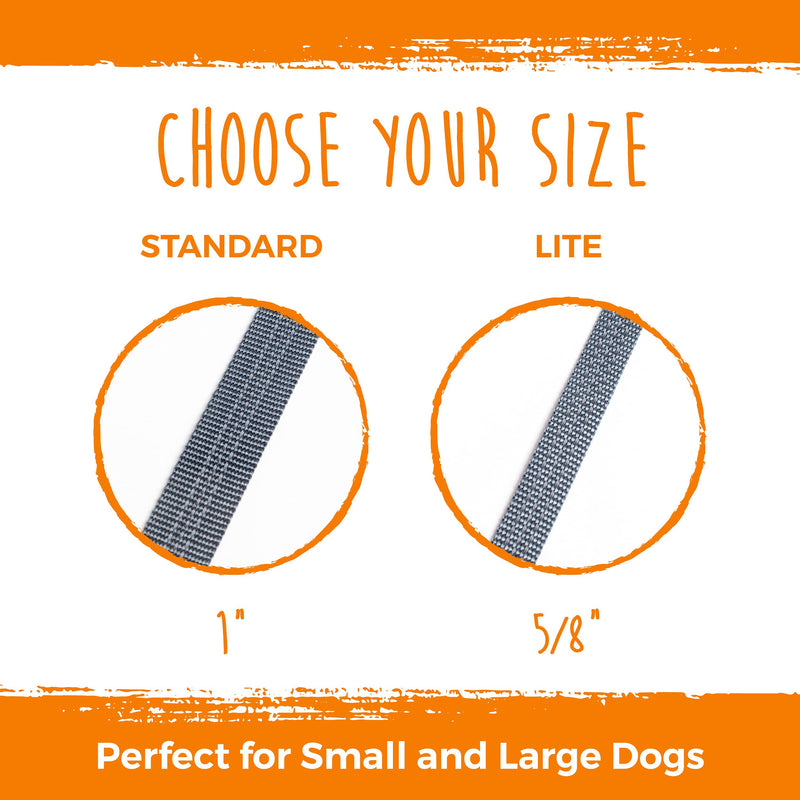 Mighty Paw Double Dog Leash, Two Dog Adjustable Length Dog Lead, Premium Quality No-Tangle Leash for 2 Dogs No Handle Lite | Dogs < 30lbs - PawsPlanet Australia