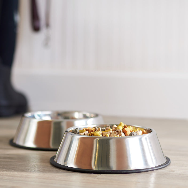 Amazon Basics Stainless Steel Dog Bowl Two-Pack - PawsPlanet Australia