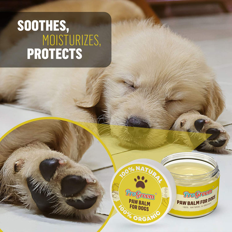 progroom Dog Paw Balm Soother – Natural Ointment - Organic Cream Safe for Licking – 50 ml - PawsPlanet Australia