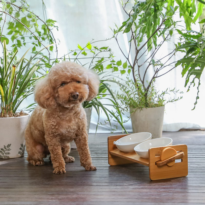 FUKUMARU Elevated Cat Bowl for Cats, Small Dogs, 15° Inclined Elevated Food Bowl, Bamboo Water Stand Bowl Set, Height Adjustable - PawsPlanet Australia