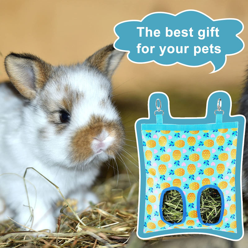 Rabbit Hay Feeder Bag Small Animal Cute Hay Feeder Bag Hanging Feeder Sack Storage with 2 Holes for Rabbit Guinea Pig Chinchilla Hamsters Small Pets (Pineapple) Pineapple - PawsPlanet Australia