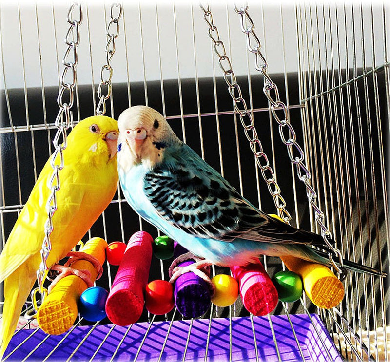 [Australia] - CocoGo Bird Toy for Parrot,Swings,Ladders for Pet Trainning Swings 