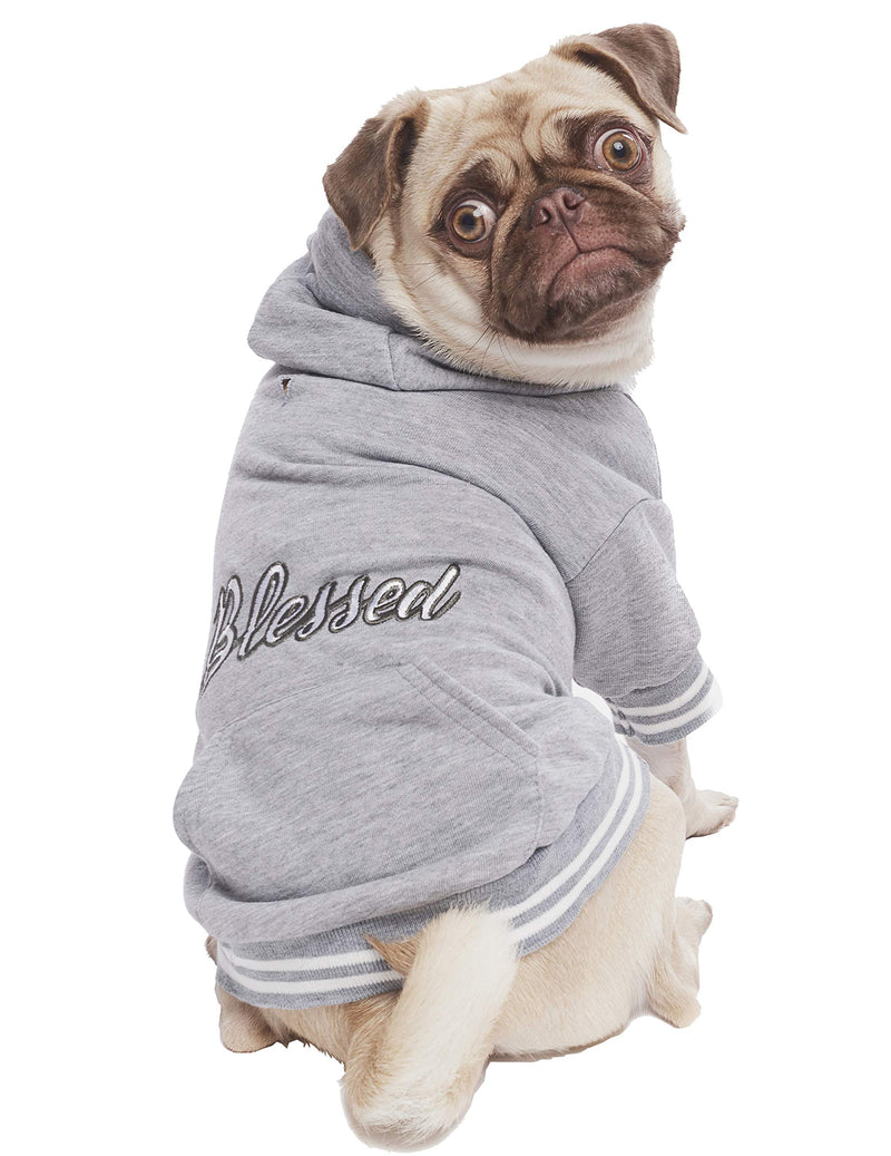 Parisian Pet Dog Blessed Hoodie Sweatshirt Pullover Winter Sweater, S - PawsPlanet Australia