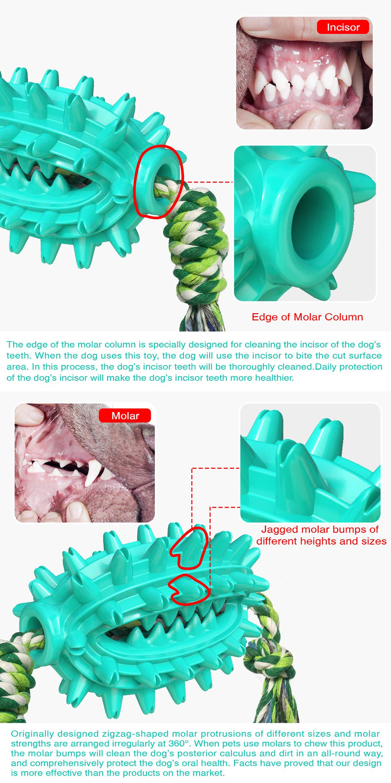 Dog Toothbrush, Cactus Shaped Dog Chew Toys with Natural Cotton Rope, Durable Rubber Puppy Teeth Cleaning Chew Toys for Small Medium and Large Dogs - PawsPlanet Australia