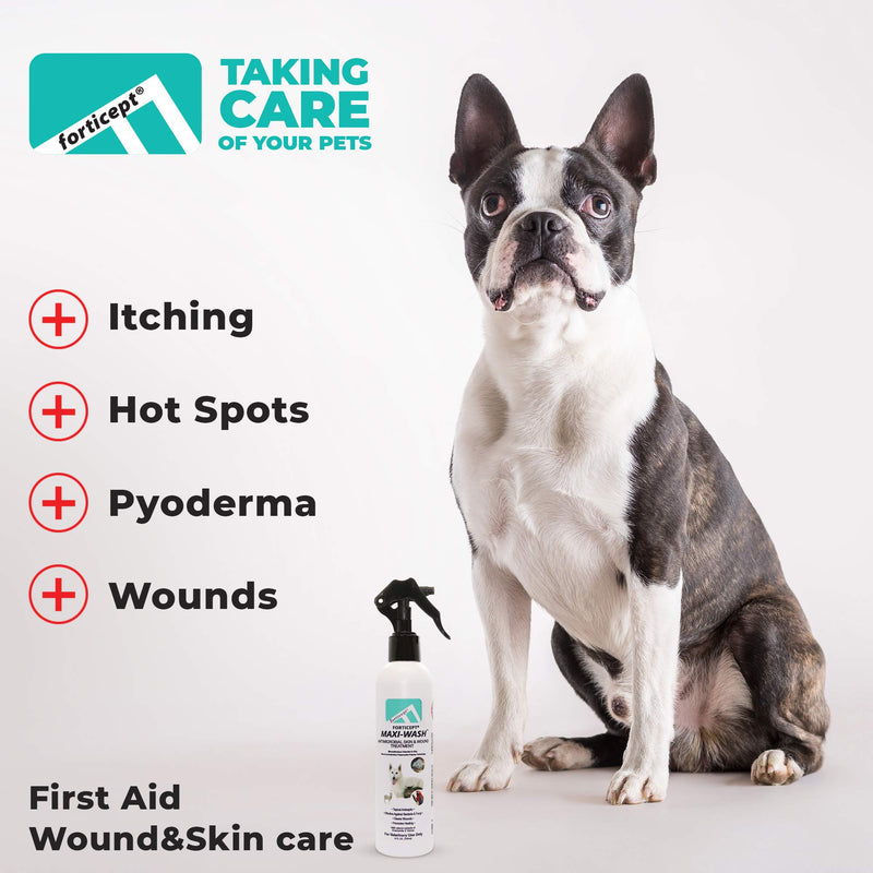 Forticept Maxi-Wash Antiseptic Antifungal Antibacterial Medicated Itch Relief Hot Spot Spray for Dogs & Cats|First Aid Skin and Paw Cleanser | Wounds Treatment 8 oz - PawsPlanet Australia