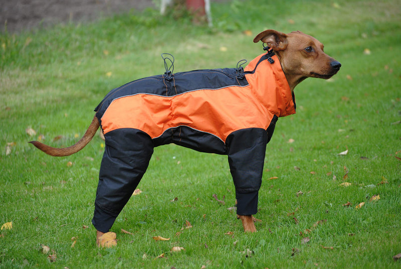 Euro Dog Designs Dakota Snow Suit Size:22M Color:Orange - PawsPlanet Australia