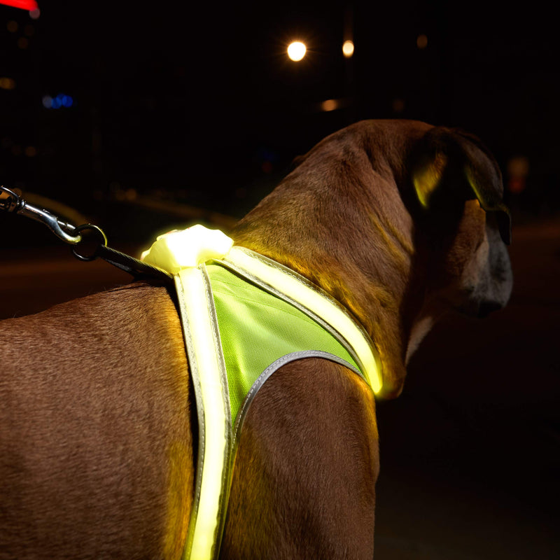 [Australia] - noxgear LightHound – Revolutionary Illuminated and Reflective Harness for Dogs Including Multicolored LED Fiber Optics (USB Rechargeable, Adjustable, Lightweight, Rainproof) Large 