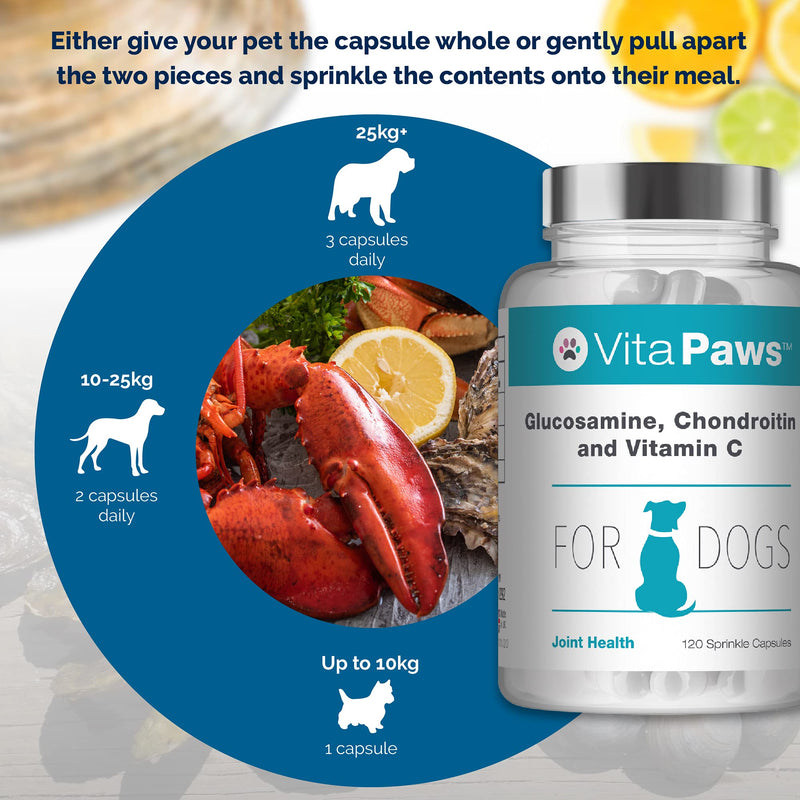 Glucosamine for Dogs with Added Chondroitin and Vitamin C | 120 Sprinkle Capsules | Manufactured in The UK - PawsPlanet Australia