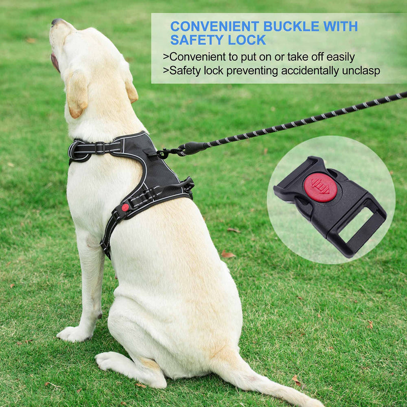 haapaw No Pull Dog Harness Adjustable Reflective Oxford Easy Control Medium Large Dog Harness with a Free Heavy Duty Dog Lead S (Pack of 1) Black, harness+lead - PawsPlanet Australia