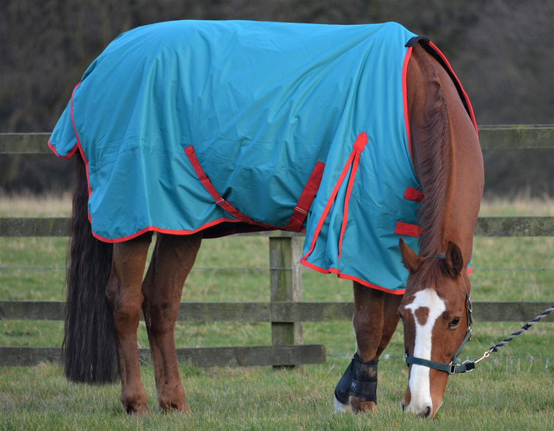 Turners Lightweight 100g Fill Waterproof Turnout Rug for Horse and Shetland Pony 3'0" - PawsPlanet Australia