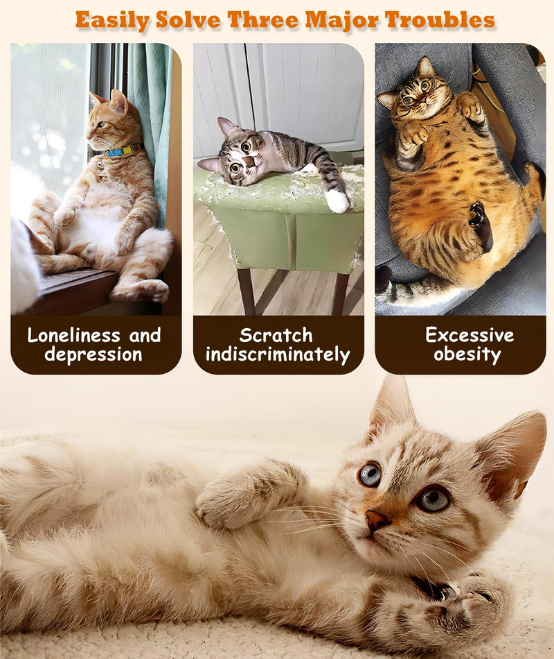 GIAPINST Interactive Cat Toys with Feathers, Cat Toys Self-Employment Pack of 10 Incloude 1 Powerful Removable Suction Cup, 2 Wand, 7 Replacement Teaser Toys with Bells - PawsPlanet Australia